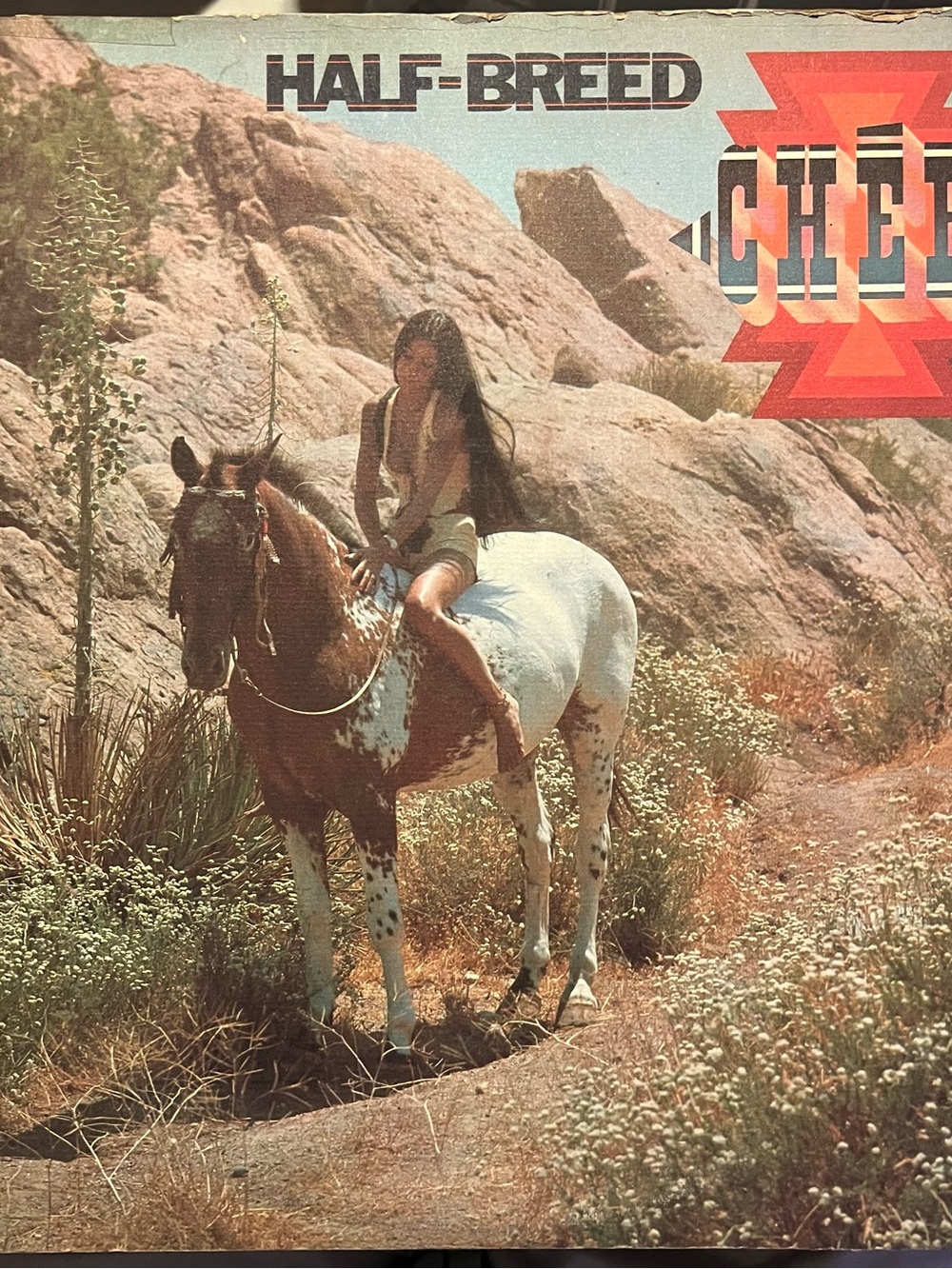 Cher– Half-Breed (Rock, Pop)